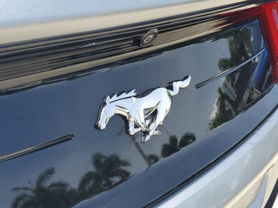 2023 Ford Mustang EcoBoost