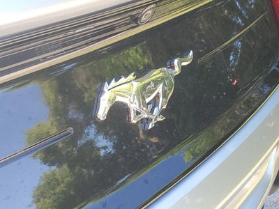 2023 Ford Mustang EcoBoost