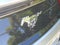 2023 Ford Mustang EcoBoost