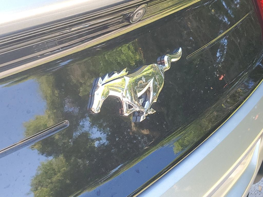 2023 Ford Mustang EcoBoost