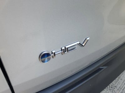 2025 Toyota Sienna XLE 8 Passenger