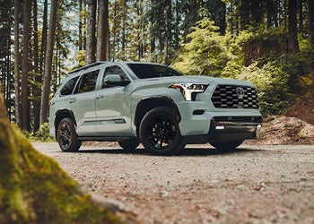 White Toyota SUV parked on a dirt path surrounded by tall trees in a forest setting.
